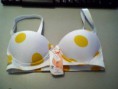 /album/galeria-de-fotos-pagina-inicial/a007-jpg/